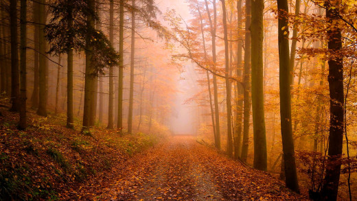 1753897 (a): :1920x1080